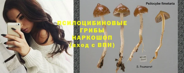 спайс Лагань
