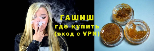 шишки Лабытнанги