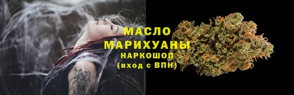шишки Лабытнанги