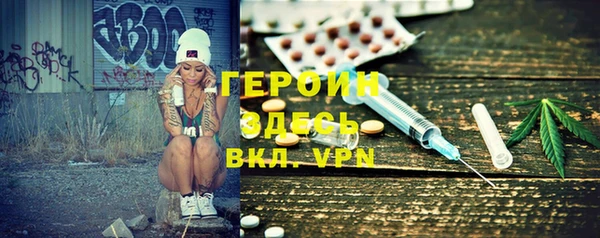 шишки Лабытнанги