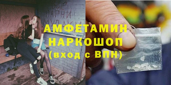 шишки Лабытнанги