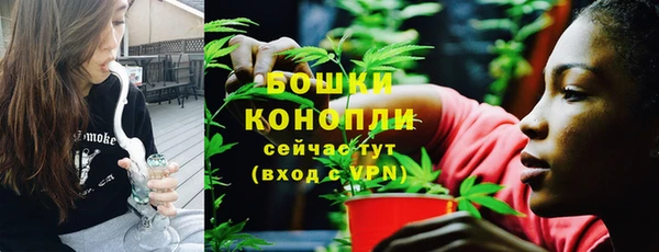 спайс Лагань