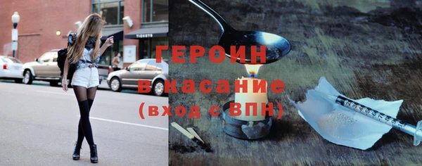 шишки Лабытнанги