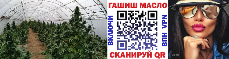 Дистиллят ТГК вейп  Купить где  Кинешма 