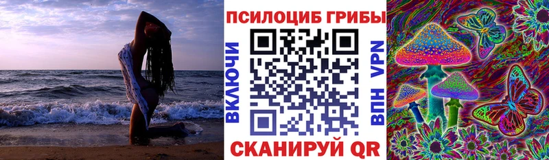Купить закладки  Кинешма  Галлюциногенные грибы Psilocybe 